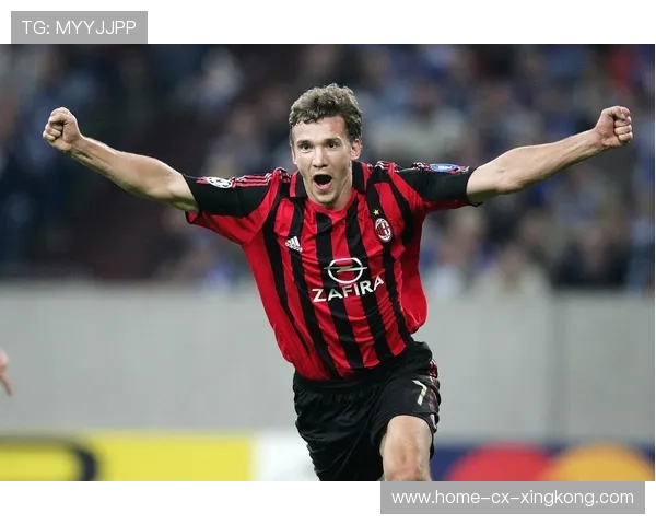 舍甫琴科练习新技术链路